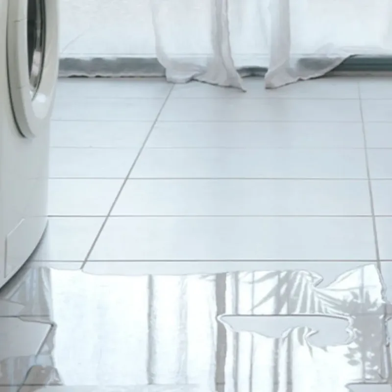 Appliance Leak Cleanup in Paris, MO