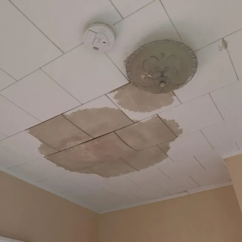 Ceiling Water Damage Repair in Paris, MO
