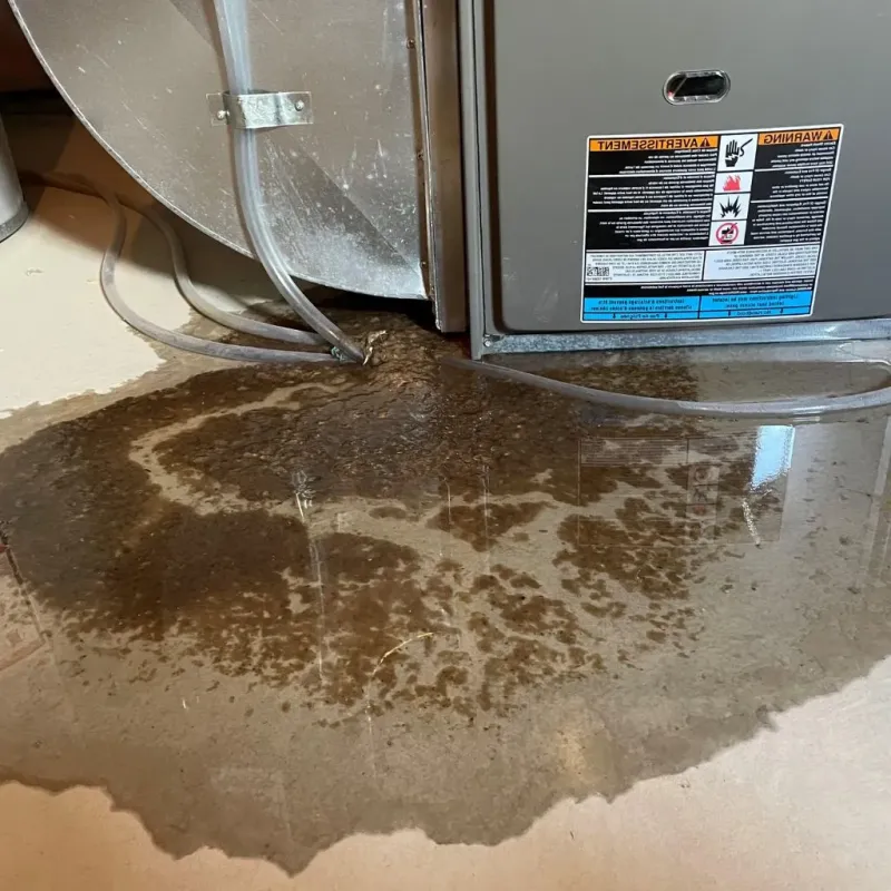 Pipe Burst and Leak Restoration in Paris, MO